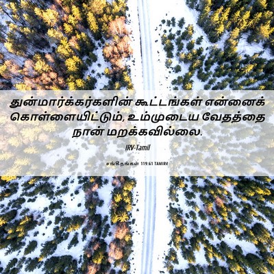 Picture 06 - சங்கீதங்கள் 119:61 TAMIRV -  - Bible Verse Picture