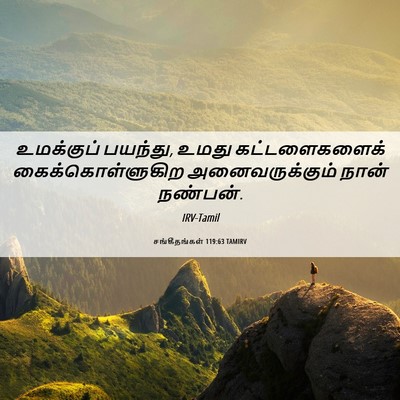 Picture 06 - சங்கீதங்கள் 119:63 TAMIRV - உமக்குப் பயந்து, - Bible Verse Picture