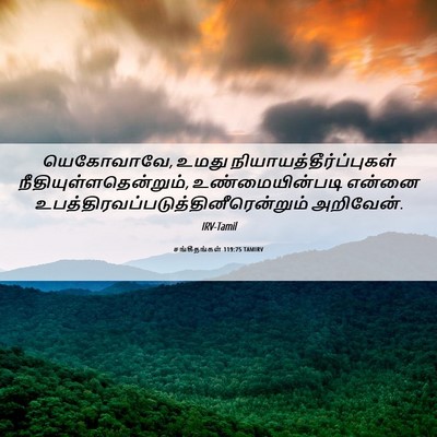 Picture 06 - சங்கீதங்கள் 119:75 TAMIRV - யெகோவாவே, உமது - Bible Verse Picture