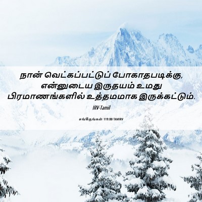 Picture 06 - சங்கீதங்கள் 119:80 TAMIRV - நான் - Bible Verse Picture