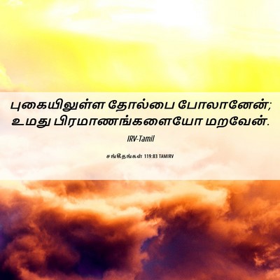 Picture 06 - சங்கீதங்கள் 119:83 TAMIRV - புகையிலுள்ள - Bible Verse Picture