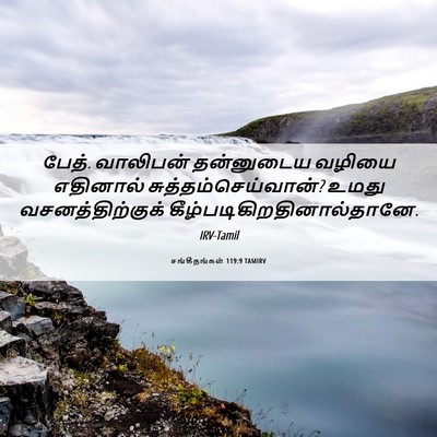 Picture 06 - சங்கீதங்கள் 119:9 TAMIRV - பேத். வாலிபன் - Bible Verse Picture