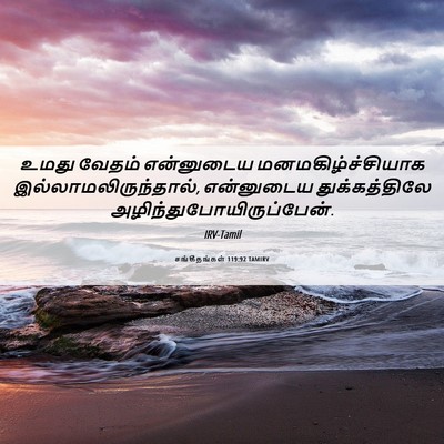 Picture 06 - சங்கீதங்கள் 119:92 TAMIRV - உமது வேதம் - Bible Verse Picture