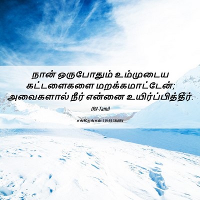 Picture 06 - சங்கீதங்கள் 119:93 TAMIRV - நான் ஒருபோதும் - Bible Verse Picture