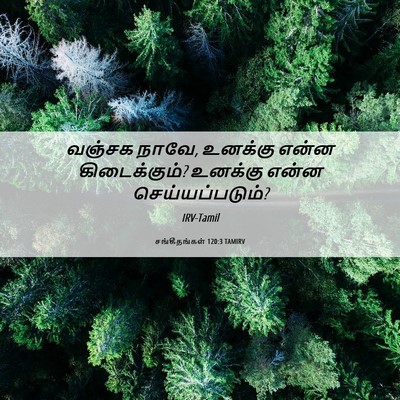 Picture 06 - சங்கீதங்கள் 120:3 TAMIRV - வஞ்சக நாவே, உனக்கு - Bible Verse Picture