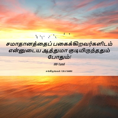 Picture 06 - சங்கீதங்கள் 120:6 TAMIRV - சமாதானத்தைப் - Bible Verse Picture