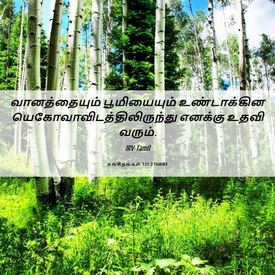 Picture 06 - சங்கீதங்கள் 121:2 TAMIRV - வானத்தையும் - Bible Verse Picture