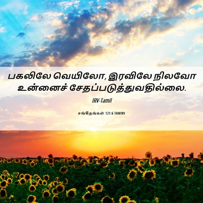 Picture 06 - சங்கீதங்கள் 121:6 TAMIRV - பகலிலே வெயிலோ, - Bible Verse Picture