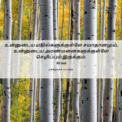 Picture 06 - சங்கீதங்கள் 122:7 TAMIRV - உன்னுடைய - Bible Verse Picture