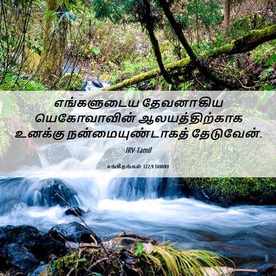 Picture 06 - சங்கீதங்கள் 122:9 TAMIRV - எங்களுடைய - Bible Verse Picture