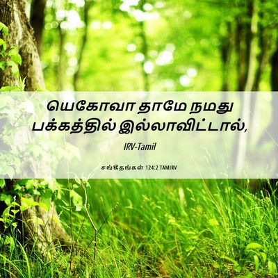 Picture 06 - சங்கீதங்கள் 124:2 TAMIRV - யெகோவா தாமே நமது - Bible Verse Picture