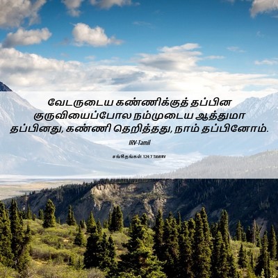 Picture 06 - சங்கீதங்கள் 124:7 TAMIRV - வேடருடைய - Bible Verse Picture