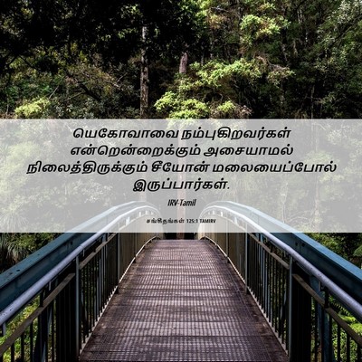Picture 06 - சங்கீதங்கள் 125:1 TAMIRV - யெகோவாவை - Bible Verse Picture