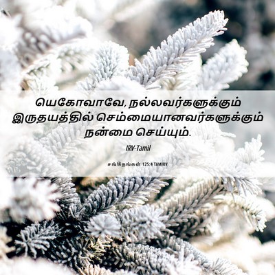 Picture 06 - சங்கீதங்கள் 125:4 TAMIRV - யெகோவாவே, - Bible Verse Picture