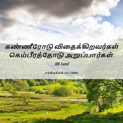 Picture 06 - சங்கீதங்கள் 126:5 TAMIRV - கண்ணீரோடு - Bible Verse Picture