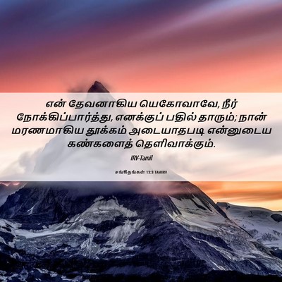 Picture 06 - சங்கீதங்கள் 13:3 TAMIRV - என் தேவனாகிய - Bible Verse Picture