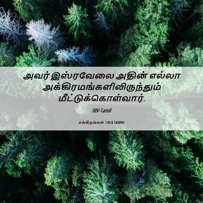 Picture 06 - சங்கீதங்கள் 130:8 TAMIRV - அவர் இஸ்ரவேலை - Bible Verse Picture