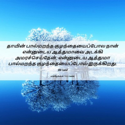 Picture 06 - சங்கீதங்கள் 131:2 TAMIRV - தாயின் பால்மறந்த - Bible Verse Picture
