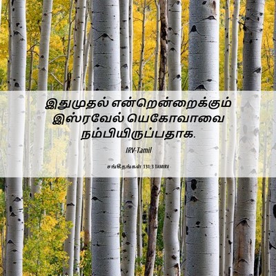 Picture 06 - சங்கீதங்கள் 131:3 TAMIRV - இதுமுதல் - Bible Verse Picture