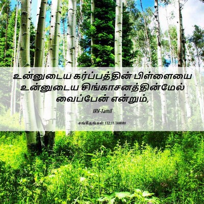 Picture 06 - சங்கீதங்கள் 132:11 TAMIRV - உன்னுடைய - Bible Verse Picture