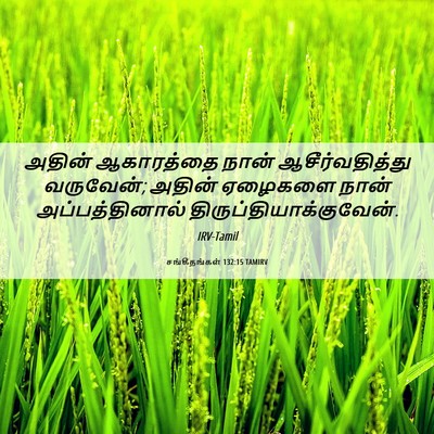 Picture 06 - சங்கீதங்கள் 132:15 TAMIRV - அதின் ஆகாரத்தை - Bible Verse Picture