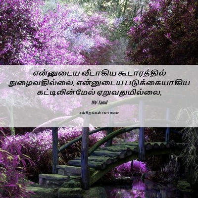 Picture 06 - சங்கீதங்கள் 132:3 TAMIRV - என்னுடைய வீடாகிய - Bible Verse Picture