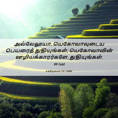 Picture 06 - சங்கீதங்கள் 135:1 TAMIRV - அல்லேலூயா, - Bible Verse Picture