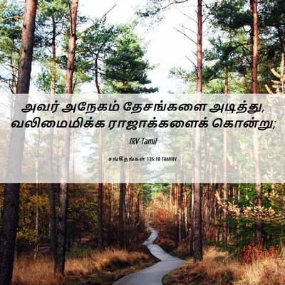 Picture 06 - சங்கீதங்கள் 135:10 TAMIRV - அவர் அநேகம் - Bible Verse Picture