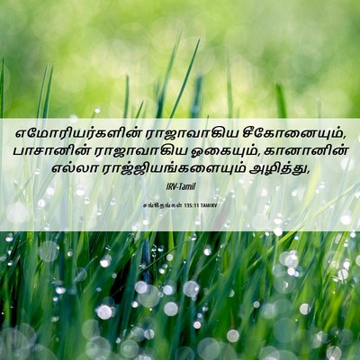 Picture 06 - சங்கீதங்கள் 135:11 TAMIRV - எமோரியர்களின் - Bible Verse Picture