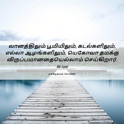 Picture 06 - சங்கீதங்கள் 135:6 TAMIRV - வானத்திலும் - Bible Verse Picture