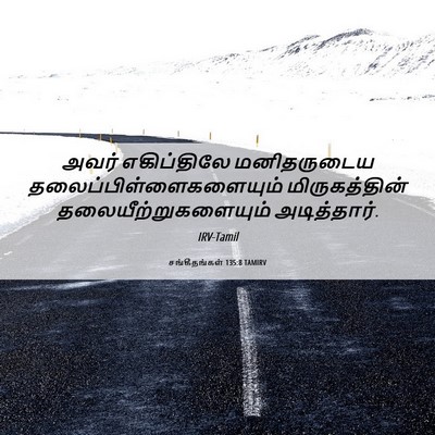 Picture 06 - சங்கீதங்கள் 135:8 TAMIRV - அவர் எகிப்திலே - Bible Verse Picture