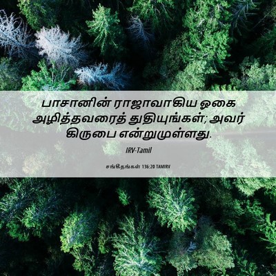 Picture 06 - சங்கீதங்கள் 136:20 TAMIRV - பாசானின் - Bible Verse Picture