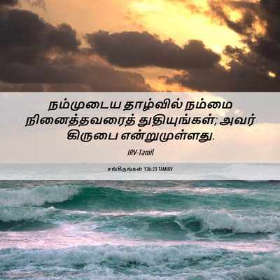 Picture 06 - சங்கீதங்கள் 136:23 TAMIRV - நம்முடைய தாழ்வில் - Bible Verse Picture