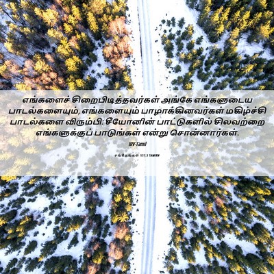 Picture 06 - சங்கீதங்கள் 137:3 TAMIRV - எங்களைச் - Bible Verse Picture