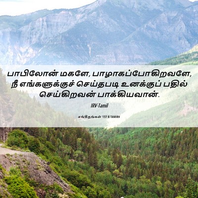 Picture 06 - சங்கீதங்கள் 137:8 TAMIRV - பாபிலோன் மகளே, - Bible Verse Picture