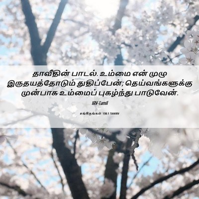 Picture 06 - சங்கீதங்கள் 138:1 TAMIRV - தாவீதின் பாடல். - Bible Verse Picture