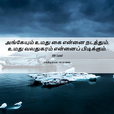 Picture 06 - சங்கீதங்கள் 139:10 TAMIRV - அங்கேயும் உமது கை - Bible Verse Picture