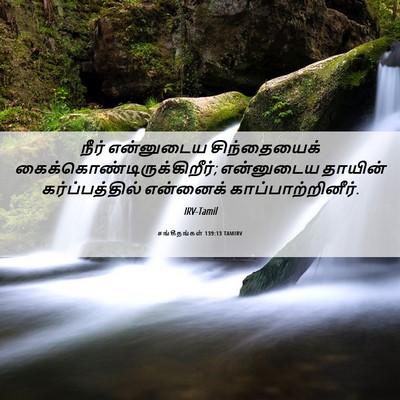 Picture 06 - சங்கீதங்கள் 139:13 TAMIRV - நீர் என்னுடைய - Bible Verse Picture