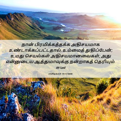 Picture 06 - சங்கீதங்கள் 139:14 TAMIRV - நான் - Bible Verse Picture