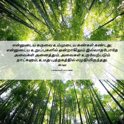 Picture 06 - சங்கீதங்கள் 139:16 TAMIRV - என்னுடைய கருவை - Bible Verse Picture