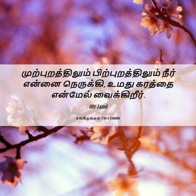 Picture 06 - சங்கீதங்கள் 139:5 TAMIRV - முற்புறத்திலும் - Bible Verse Picture