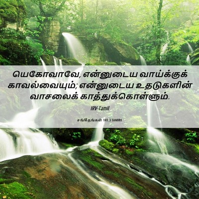 Picture 06 - சங்கீதங்கள் 141:3 TAMIRV - யெகோவாவே, - Bible Verse Picture