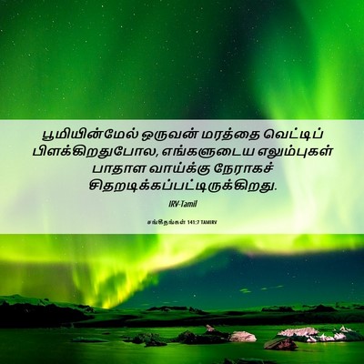 Picture 06 - சங்கீதங்கள் 141:7 TAMIRV - பூமியின்மேல் - Bible Verse Picture