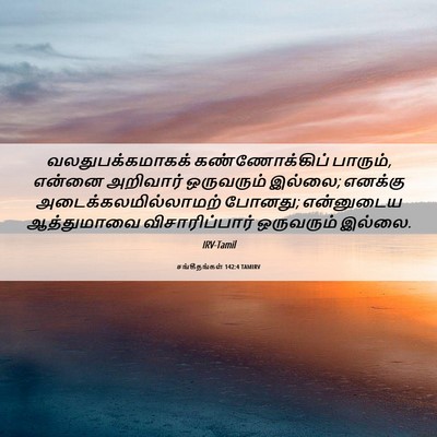 Picture 06 - சங்கீதங்கள் 142:4 TAMIRV - வலதுபக்கமாகக் - Bible Verse Picture