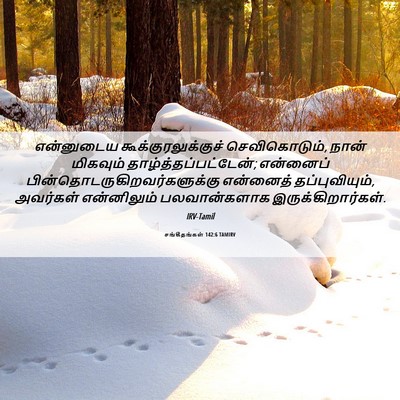 Picture 06 - சங்கீதங்கள் 142:6 TAMIRV - என்னுடைய - Bible Verse Picture