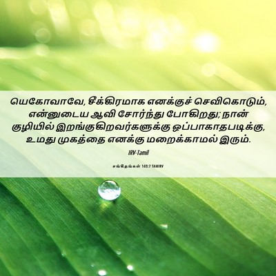Picture 06 - சங்கீதங்கள் 143:7 TAMIRV - யெகோவாவே, - Bible Verse Picture