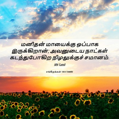 Picture 06 - சங்கீதங்கள் 144:4 TAMIRV - மனிதன் மாயைக்கு - Bible Verse Picture