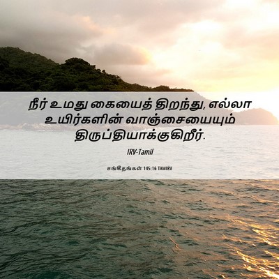 Picture 06 - சங்கீதங்கள் 145:16 TAMIRV - நீர் உமது கையைத் - Bible Verse Picture