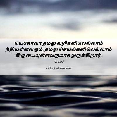 Picture 06 - சங்கீதங்கள் 145:17 TAMIRV - யெகோவா தமது - Bible Verse Picture