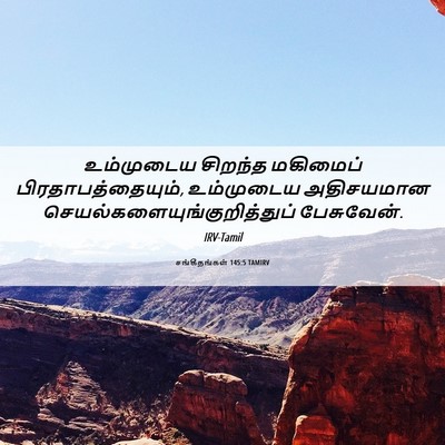 Picture 06 - சங்கீதங்கள் 145:5 TAMIRV - உம்முடைய சிறந்த - Bible Verse Picture